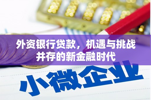 庄浪外资银行贷款，机遇与挑战并存的新金融时代