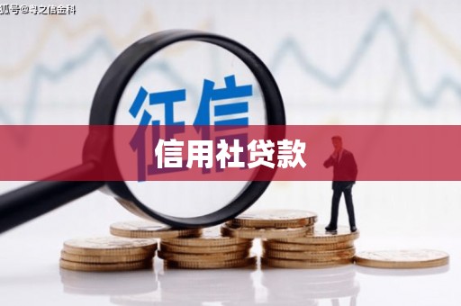 庄浪信用社贷款