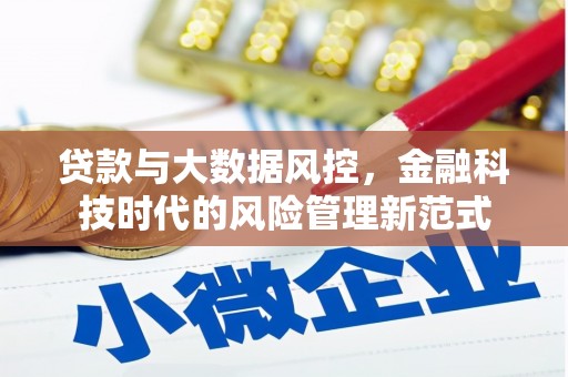 庄浪贷款与大数据风控，金融科技时代的风险管理新范式