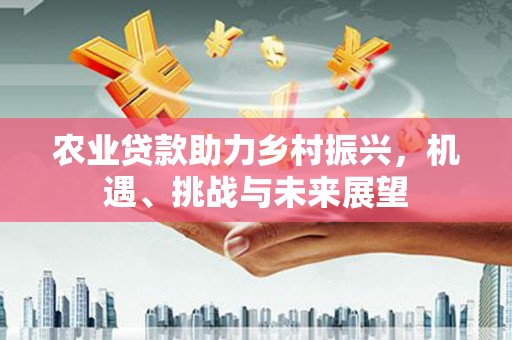 庄浪农业贷款助力乡村振兴，机遇、挑战与未来展望