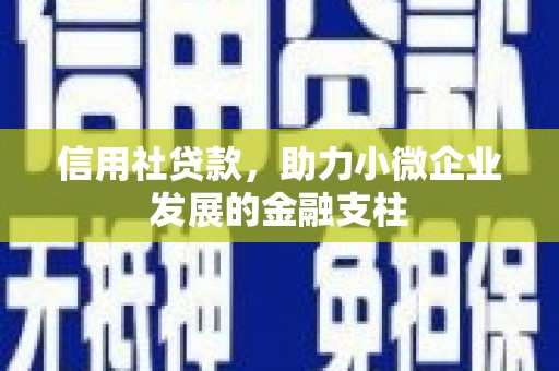 庄浪信用社贷款，助力小微企业发展的金融支柱