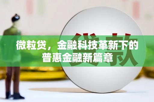 庄浪微粒贷，金融科技革新下的普惠金融新篇章