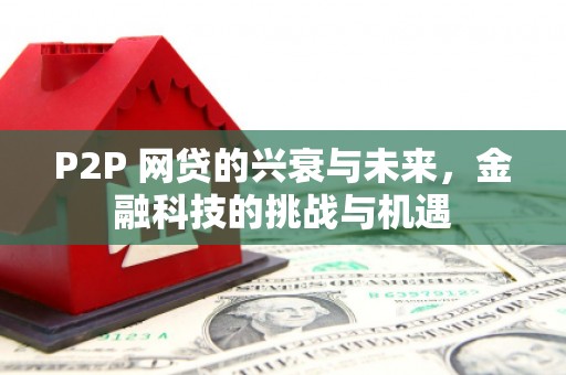 庄浪P2P 网贷的兴衰与未来，金融科技的挑战与机遇