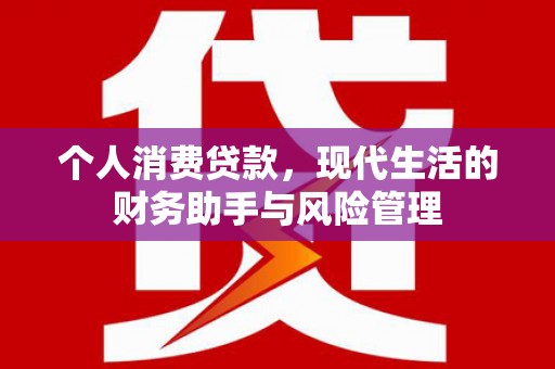 庄浪个人消费贷款，现代生活的财务助手与风险管理