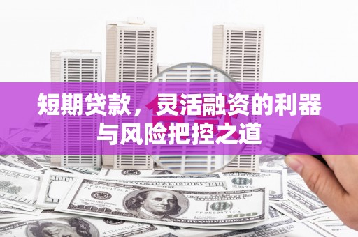 庄浪短期贷款，灵活融资的利器与风险把控之道