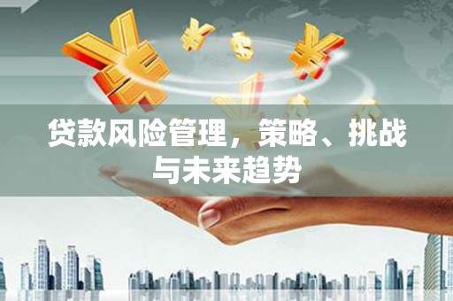庄浪贷款风险管理，策略、挑战与未来趋势