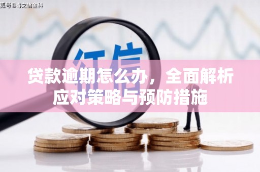庄浪贷款逾期怎么办，全面解析应对策略与预防措施