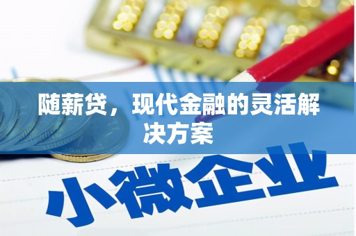 庄浪随薪贷，现代金融的灵活解决方案