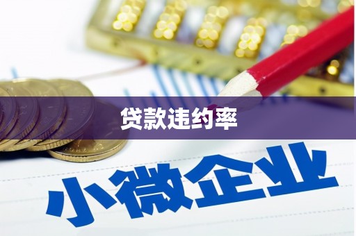 庄浪贷款违约率
