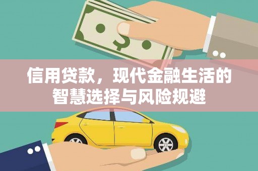 庄浪信用贷款，现代金融生活的智慧选择与风险规避