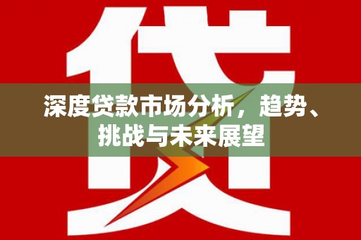 庄浪深度贷款市场分析，趋势、挑战与未来展望