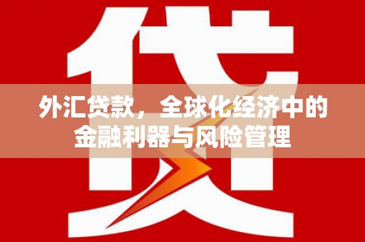 庄浪外汇贷款，全球化经济中的金融利器与风险管理