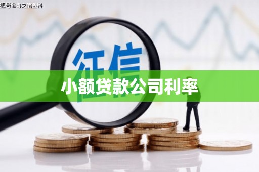庄浪小额贷款公司利率