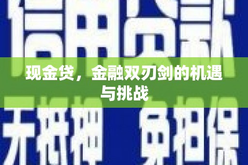 庄浪现金贷，金融双刃剑的机遇与挑战
