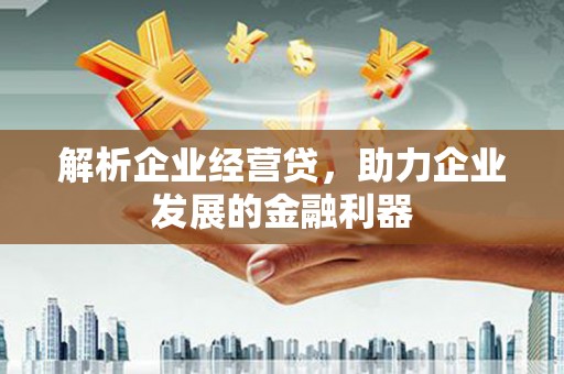 庄浪解析企业经营贷，助力企业发展的金融利器