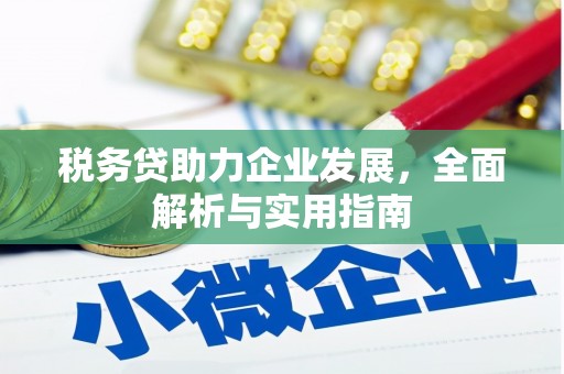 庄浪税务贷助力企业发展，全面解析与实用指南