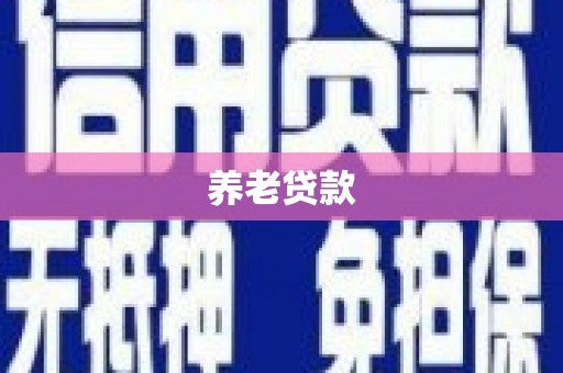 庄浪养老贷款