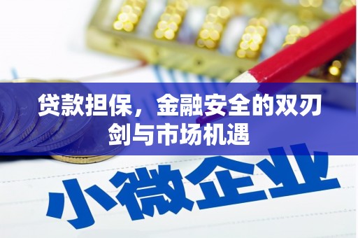 庄浪贷款担保，金融安全的双刃剑与市场机遇