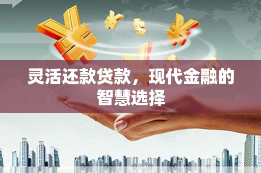 庄浪灵活还款贷款，现代金融的智慧选择