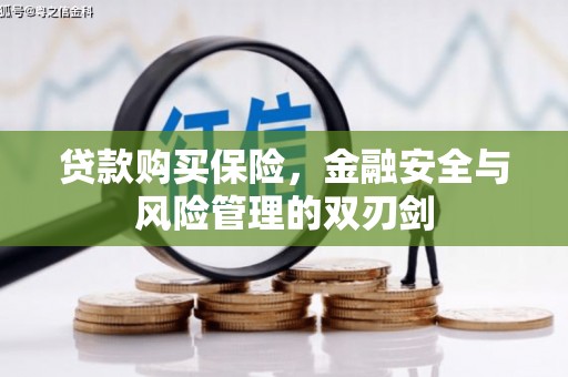 庄浪贷款购买保险，金融安全与风险管理的双刃剑