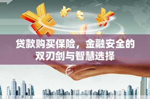庄浪贷款购买保险，金融安全的双刃剑与智慧选择