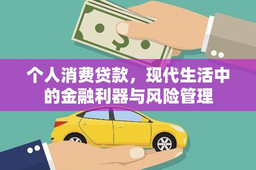 庄浪个人消费贷款，现代生活中的金融利器与风险管理