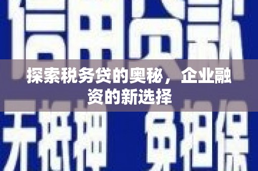 庄浪探索税务贷的奥秘，企业融资的新选择