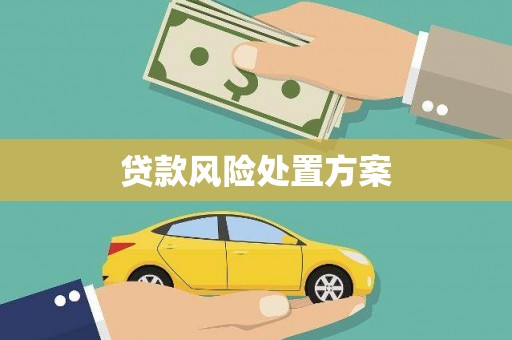 庄浪贷款风险处置方案