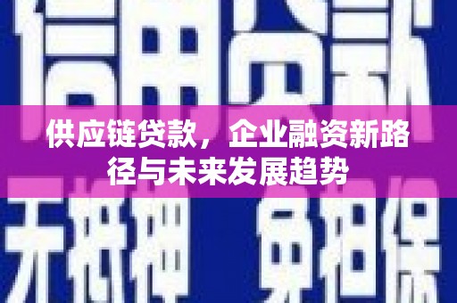庄浪供应链贷款，企业融资新路径与未来发展趋势
