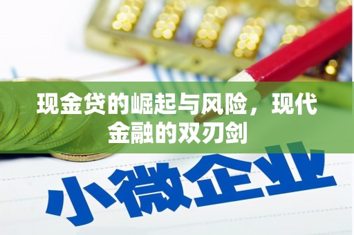 庄浪现金贷的崛起与风险，现代金融的双刃剑