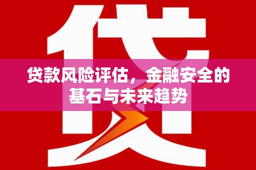 庄浪贷款风险评估，金融安全的基石与未来趋势