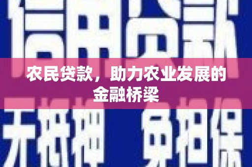庄浪农民贷款，助力农业发展的金融桥梁
