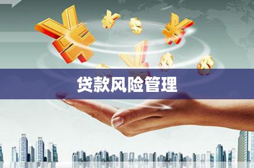 庄浪贷款风险管理