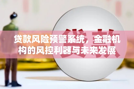 庄浪贷款风险预警系统，金融机构的风控利器与未来发展