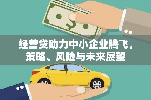 庄浪经营贷助力中小企业腾飞，策略、风险与未来展望