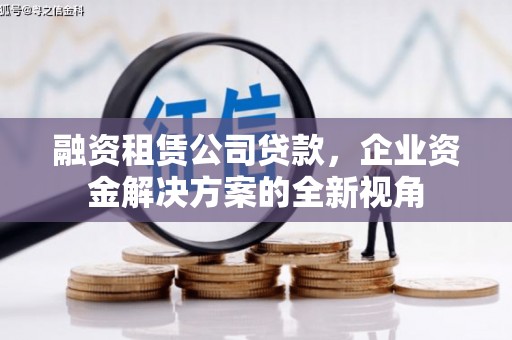 庄浪融资租赁公司贷款，企业资金解决方案的全新视角