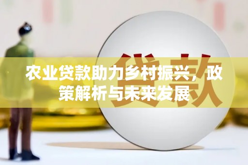 庄浪农业贷款助力乡村振兴，政策解析与未来发展