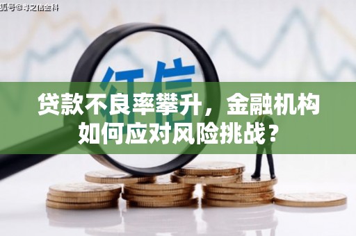 庄浪贷款不良率攀升，金融机构如何应对风险挑战？