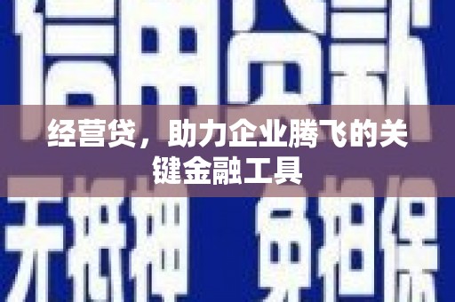 庄浪经营贷，助力企业腾飞的关键金融工具