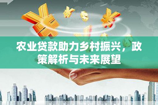 庄浪农业贷款助力乡村振兴，政策解析与未来展望
