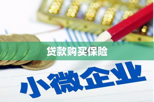 庄浪贷款购买保险
