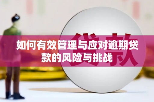 庄浪如何有效管理与应对逾期贷款的风险与挑战