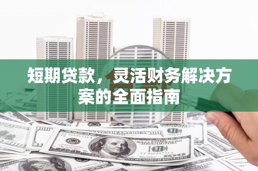 庄浪短期贷款，灵活财务解决方案的全面指南