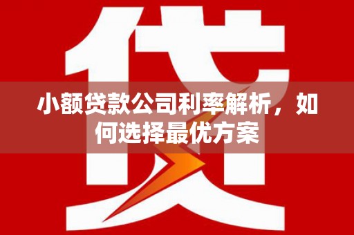 庄浪小额贷款公司利率解析，如何选择最优方案