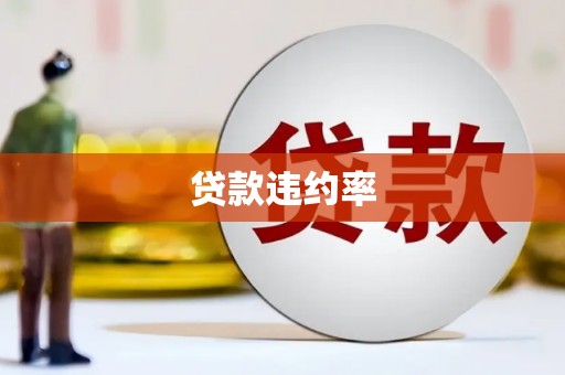 庄浪贷款违约率