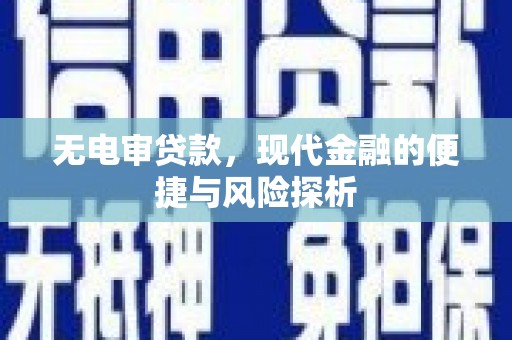 庄浪无电审贷款，现代金融的便捷与风险探析