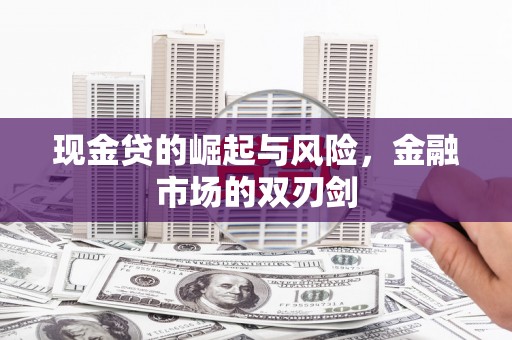 庄浪现金贷的崛起与风险，金融市场的双刃剑