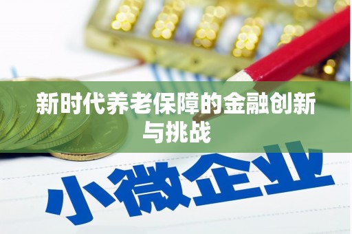 庄浪新时代养老保障的金融创新与挑战