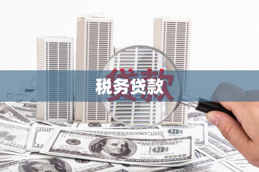 庄浪税务贷款
