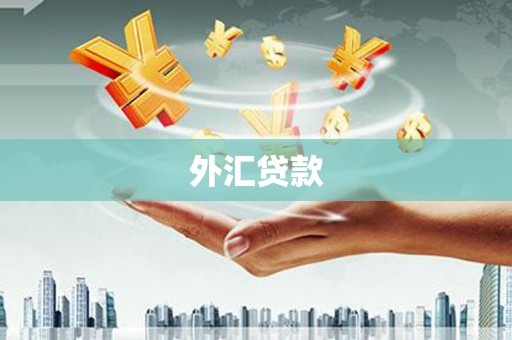 庄浪外汇贷款